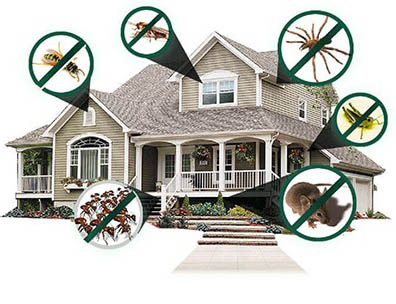 Residential Pest Control